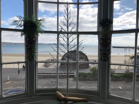 View out.jpg