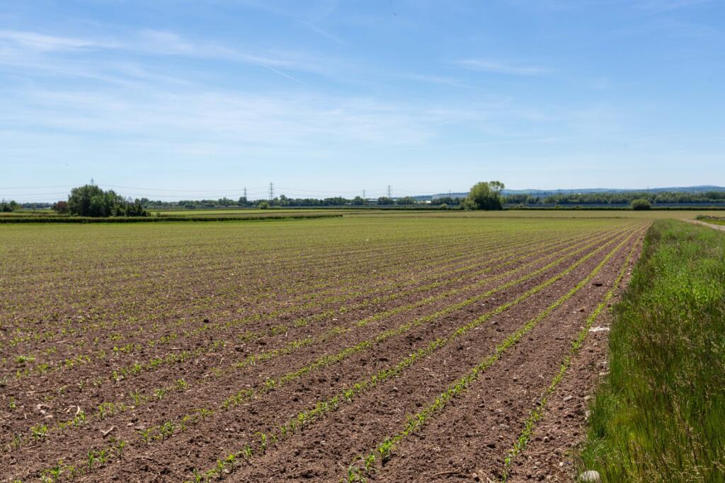 Main image of property: Lot 2 | Land At Hall Farm, Puddington Lane, Puddington, Cheshire, CH64