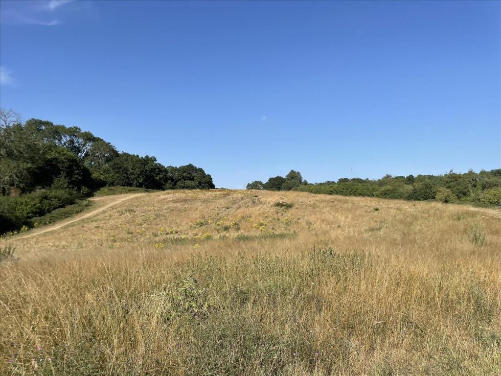 Paper Mill Lane, Bramford, Ipswich, IP8 - View 5