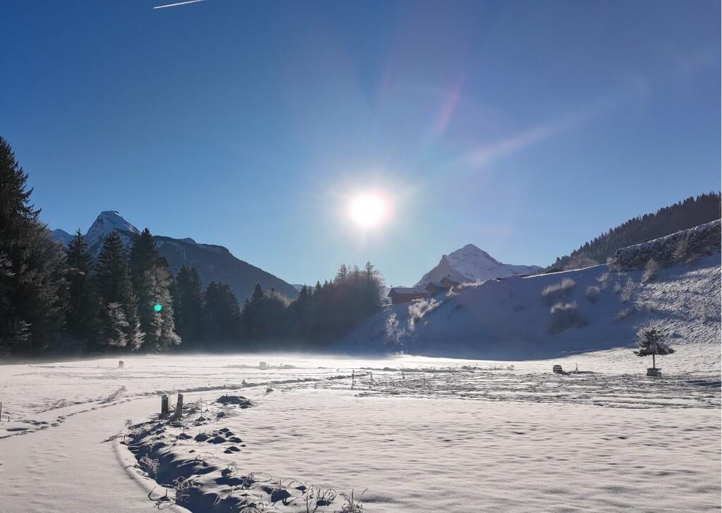 Main image of property: Montriond, Haute-Savoie, Rhone Alps