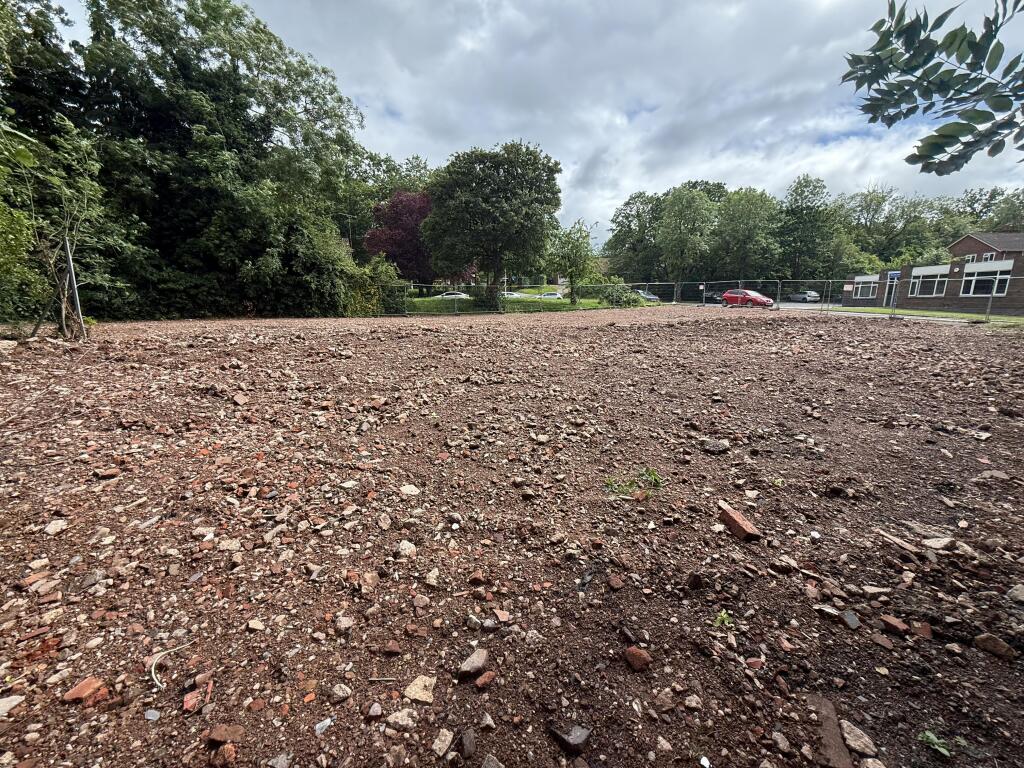 3. Site photo.jpg