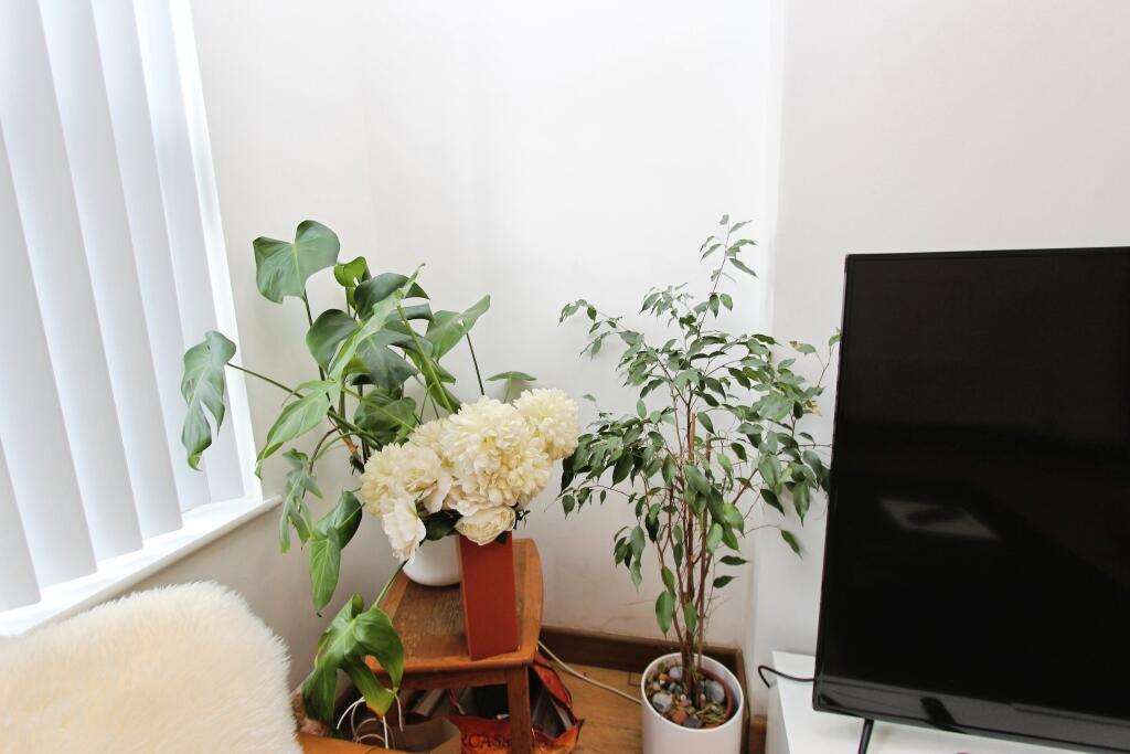 House in Nottingham, Long Eaton - View 5