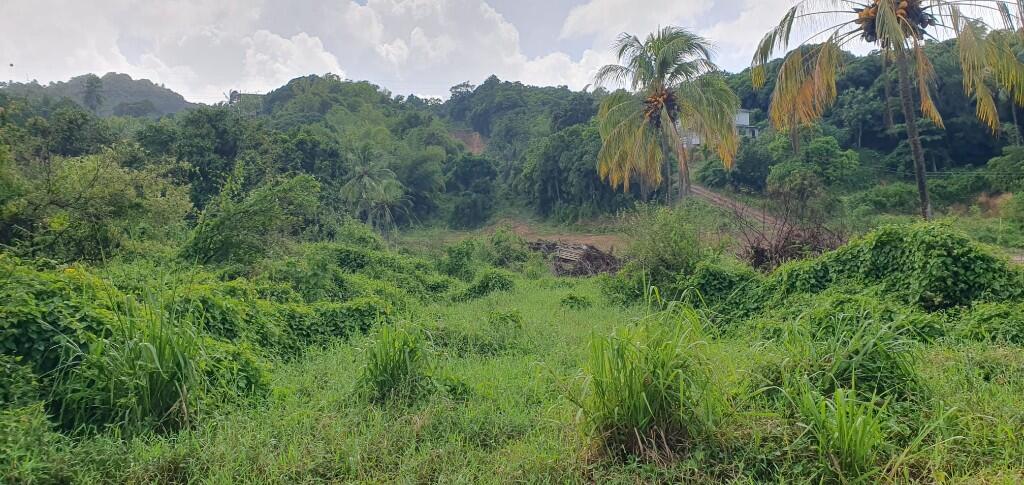 Main image of property: Castries