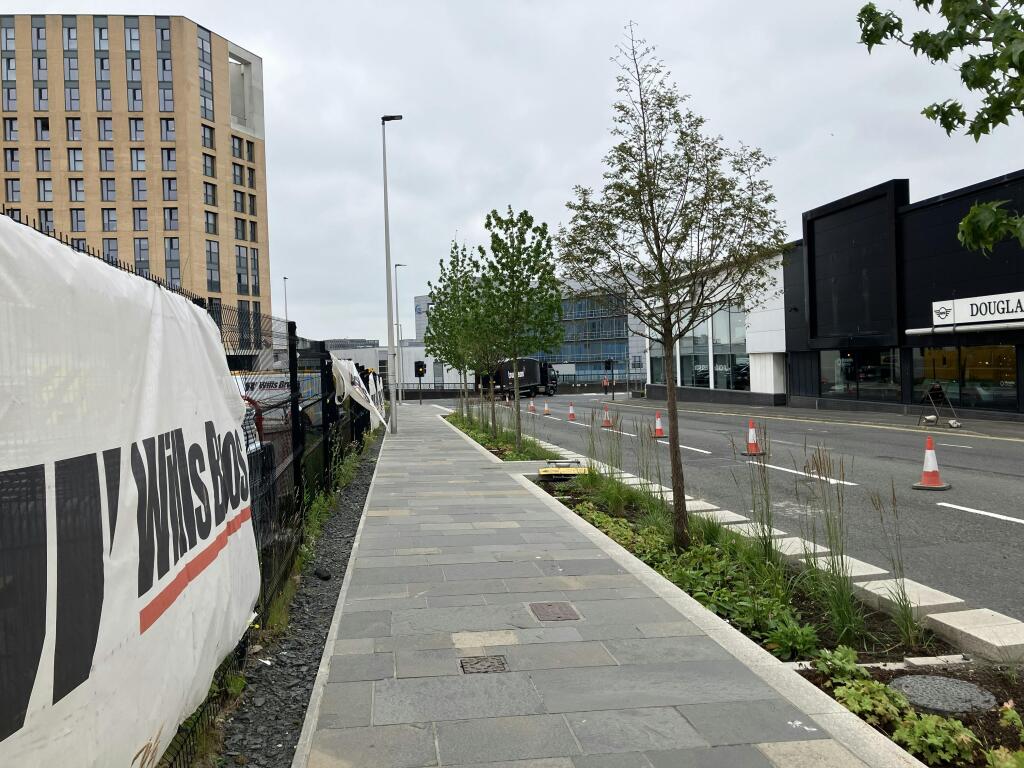 Western Boundary Pavement and Landscaping.jpg