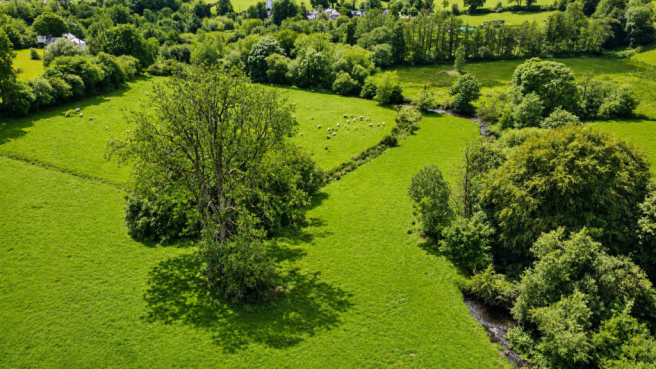 THE LAND