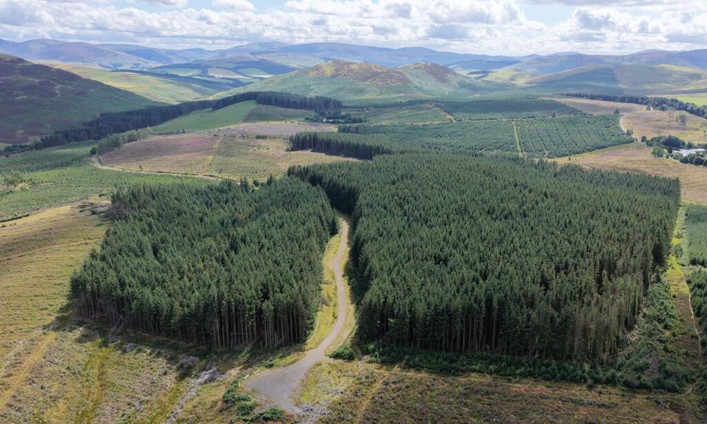 Main image of property: Nether Stewarton Forest, Peebles, Scottish Borders