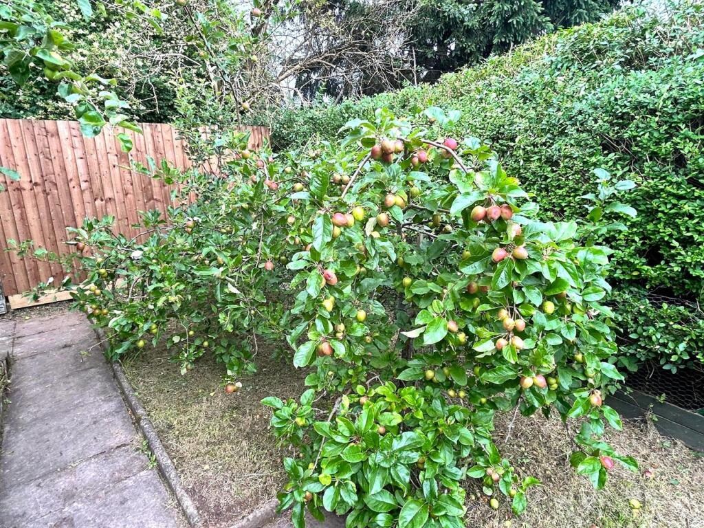 Additional image 13 of Hay Green Lane, Bournville, Birmingham