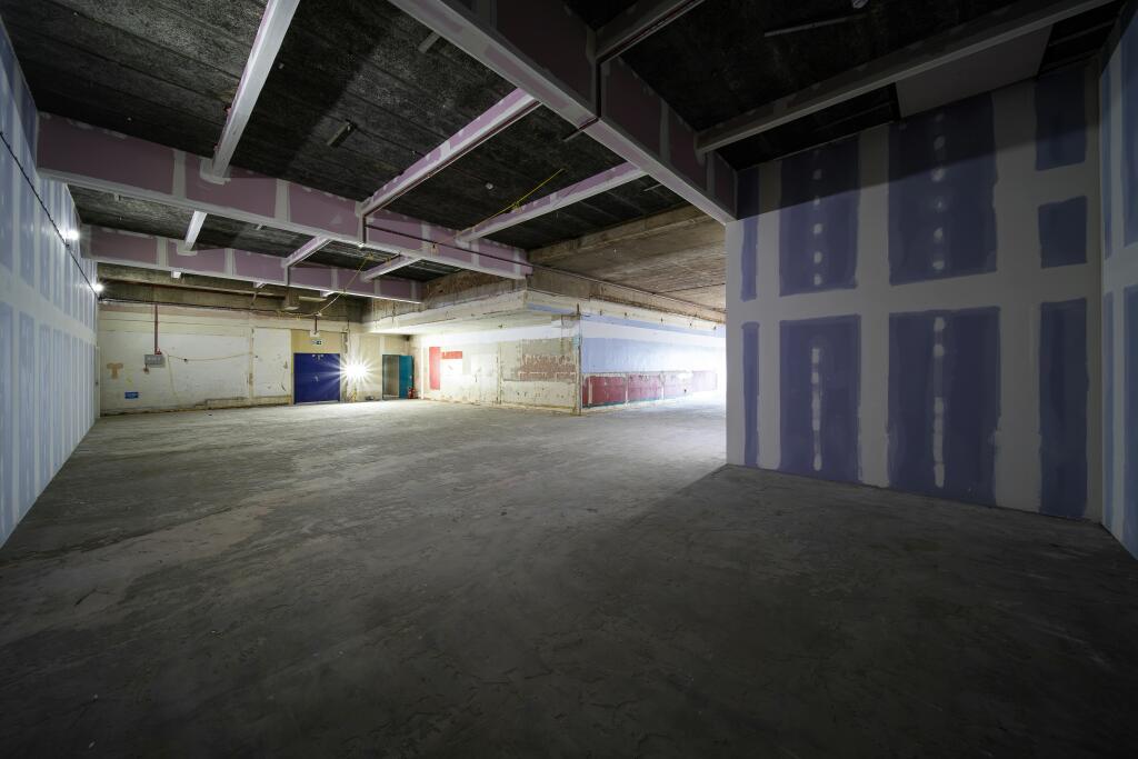 30 Terminus Street Ground 4.jpg