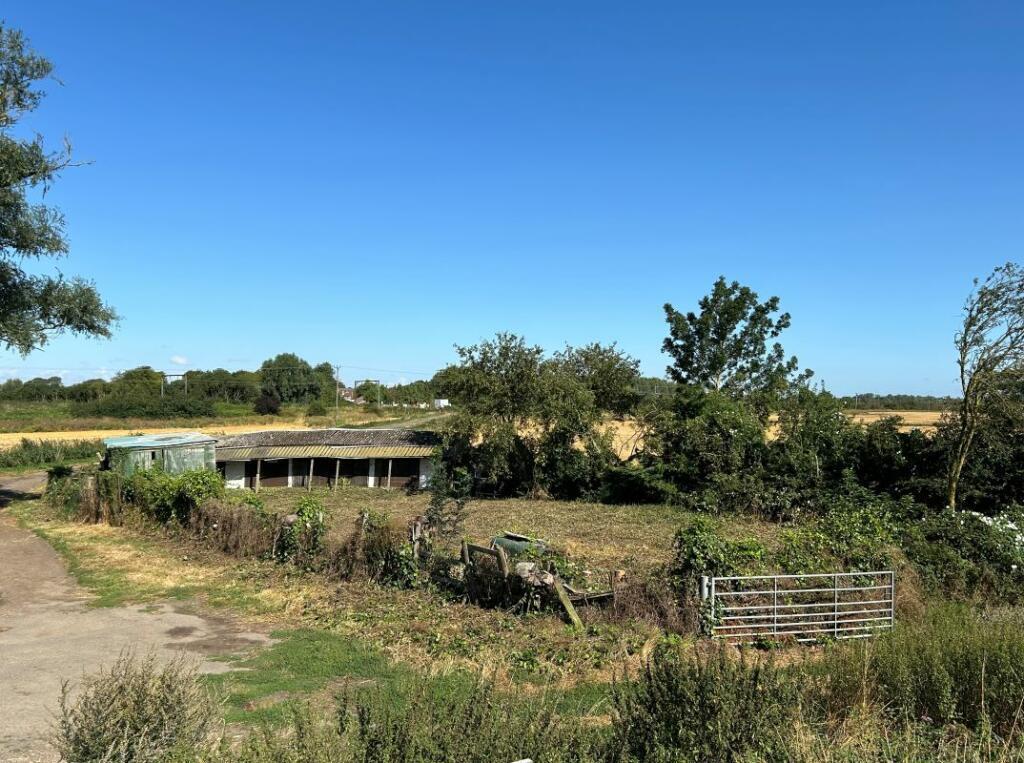 Holt Fen, Little Thetford, Ely - More