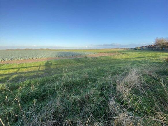 Plot View To Rear: