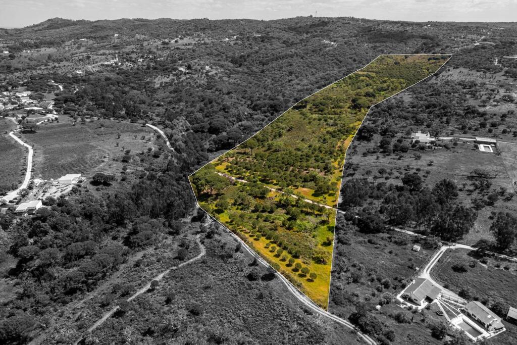 Main image of property: Setúbal, Grândola