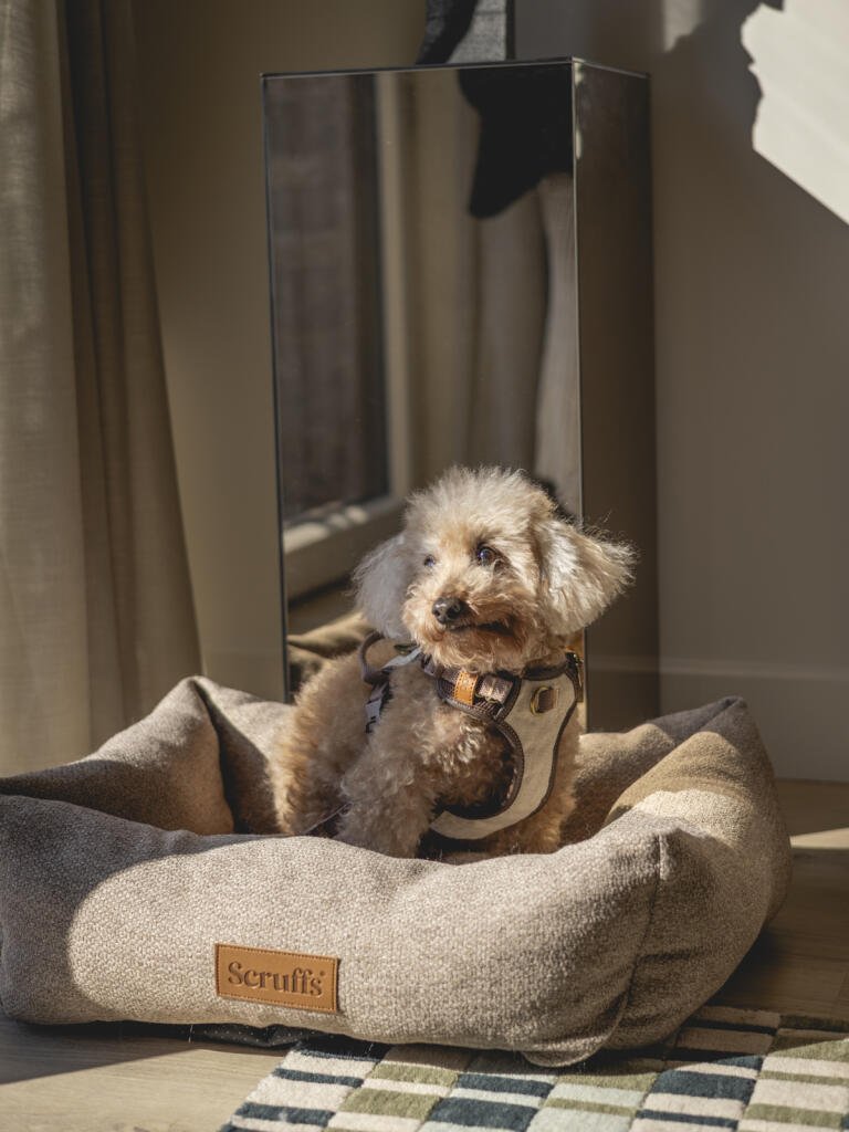 Main image of property: Biscuit Walk, London SE16