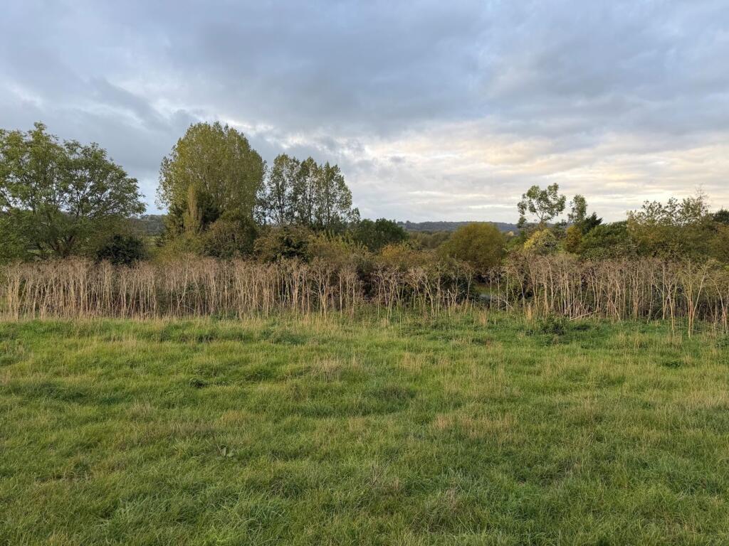 Building Plot, Peak Lane, Compton Dundon, TA11 - View 4