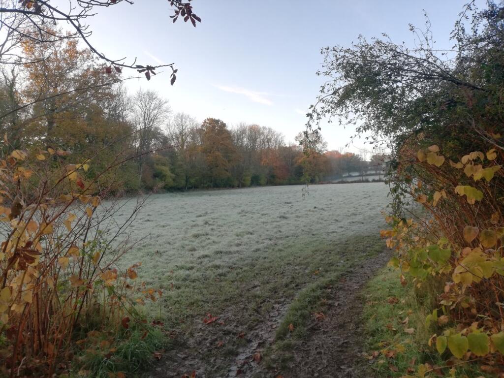 Main image of property: Medway Drive, East Grinstead
