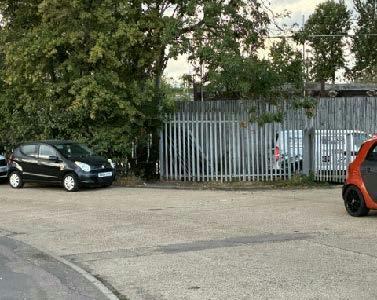 Harlow 3.jpeg