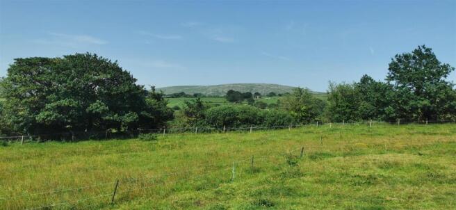 Lower Paddock