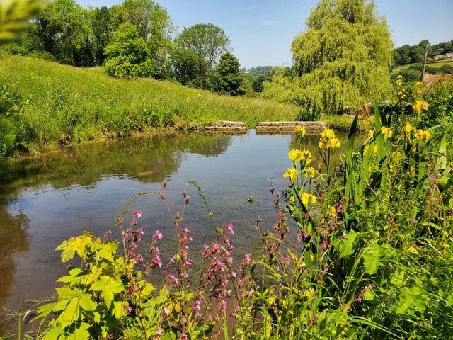 Additional image 27 of Friary, Freshford, Bath, BA2 7UE