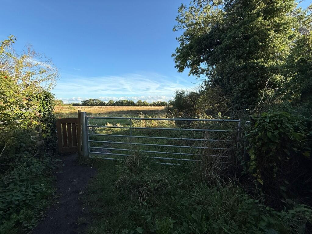 18.27 Acres (7.39 Hectares) Land Off East Lane, Shipton By Benningbrough, York - View 5