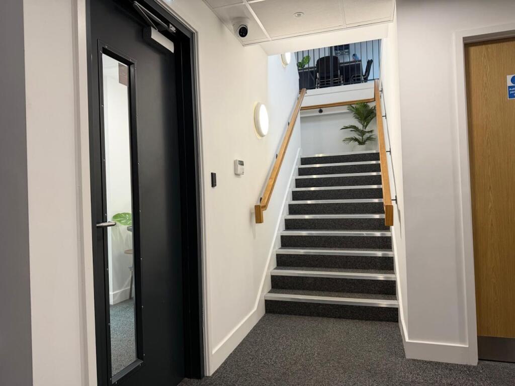 p13.jpg