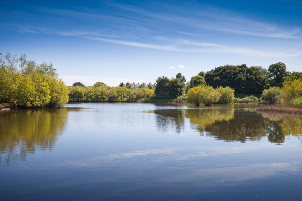 North Bestwall, Wareham, Dorset photo 4