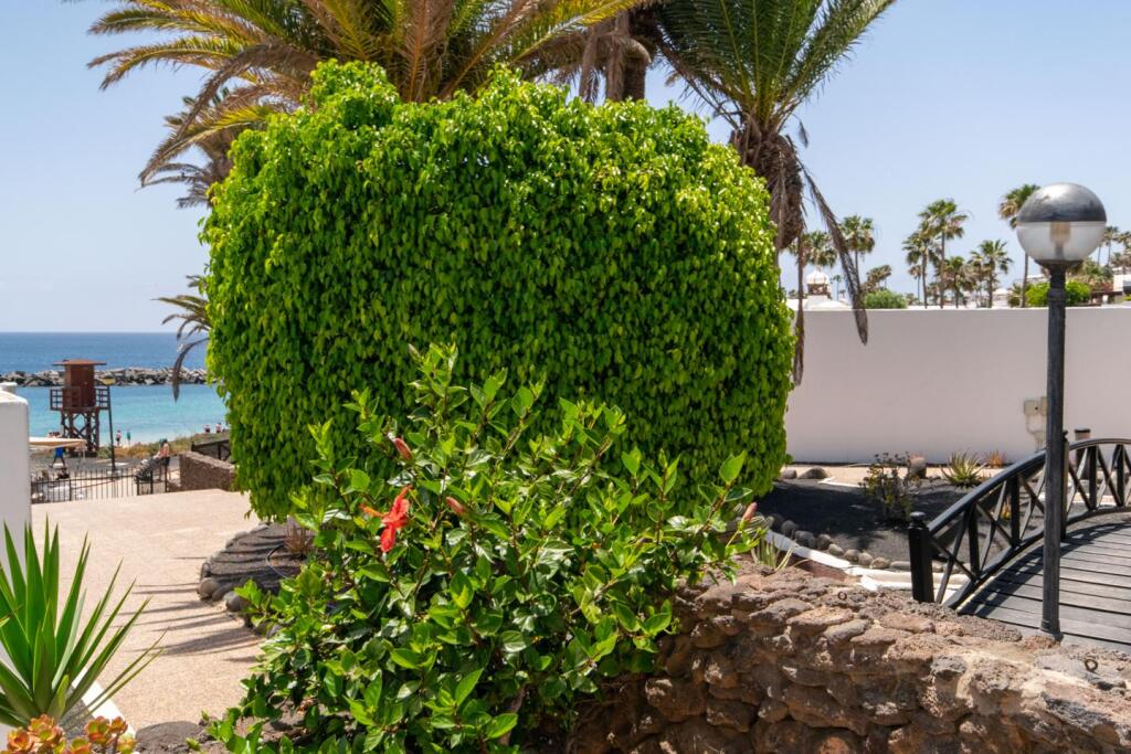 Main image of property: Canary Islands, Lanzarote, Playa Blanca