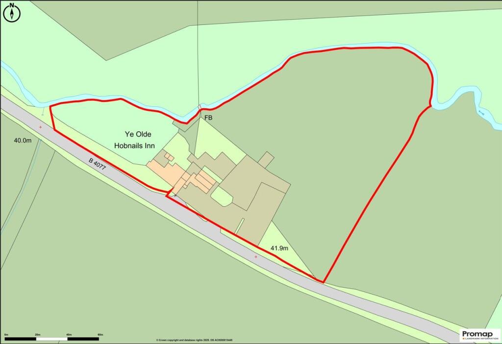 Red line Hobnails.jpg