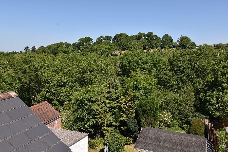 Argyll Road, Exeter, EX4 photo 3