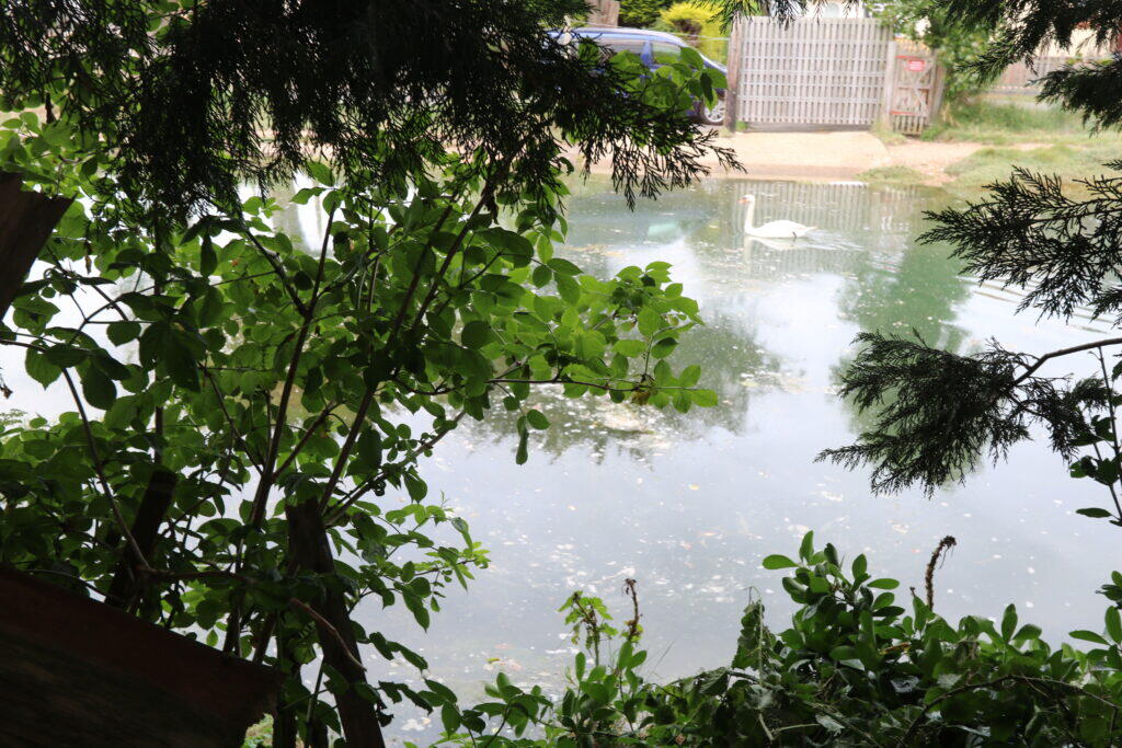 Southwood Road, Hayling Island photo 3