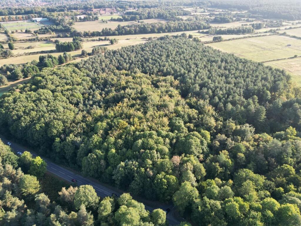 Main image of property: Lane End Wood, Clumber, Worksop