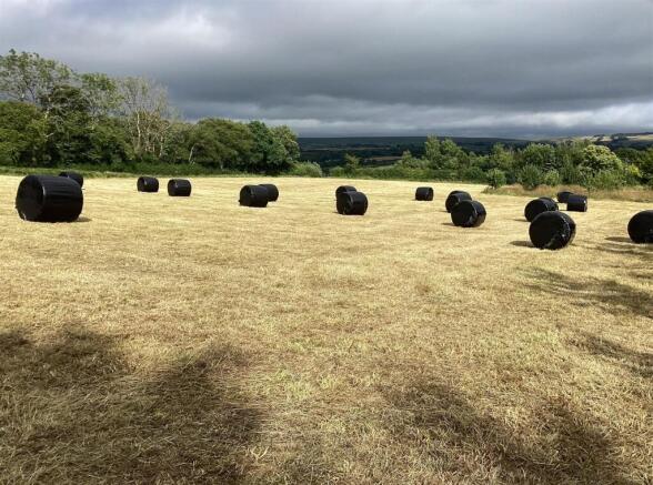 IMG_2768.jpeg