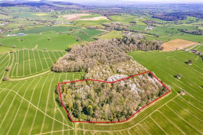Lot 2 - Tars Coppice