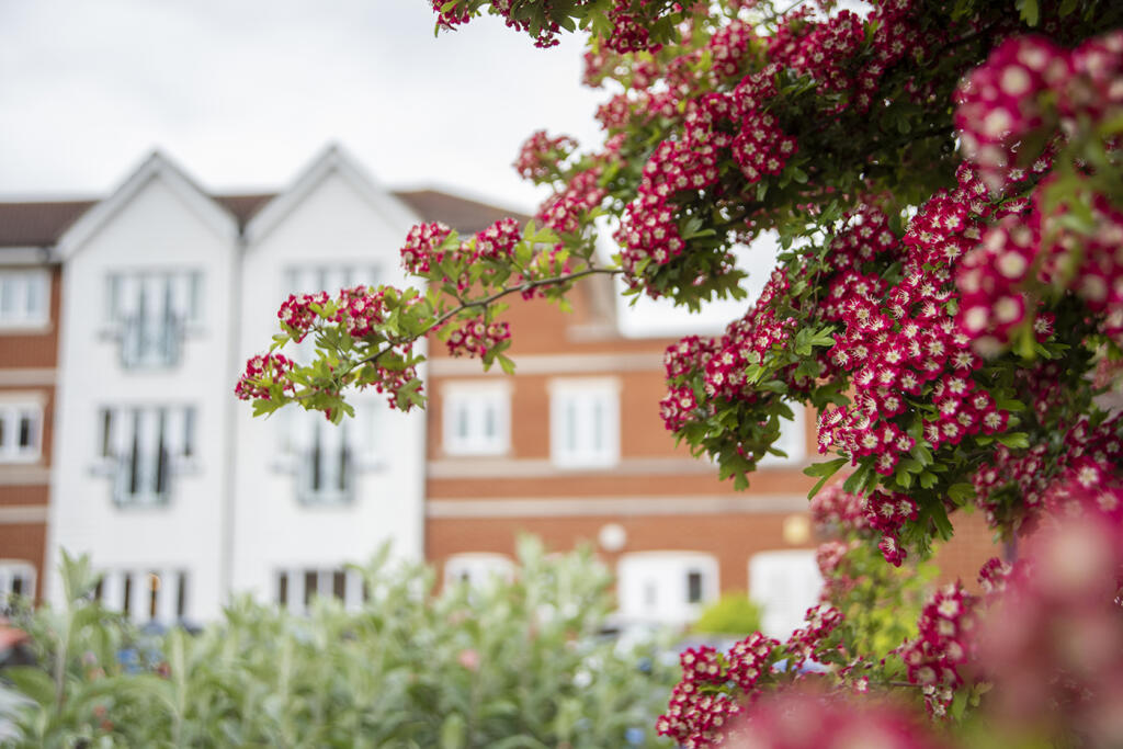 Apartment in East Suffolk, Kesgrave - View 2