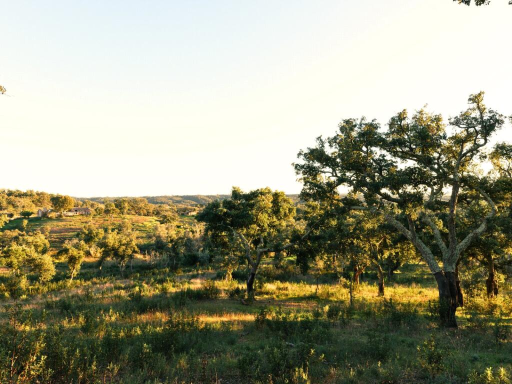 Paisagem rural de São Francisco da Serra, perto de Melides, no Alentejo
