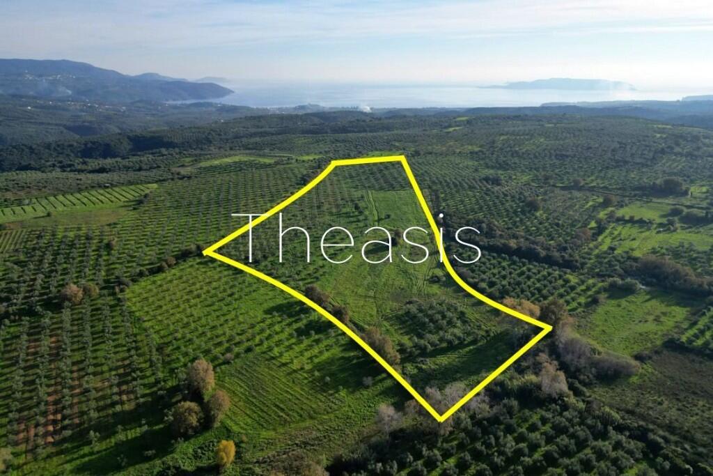 Main image of property: Evaggelismos, Messinia, Peloponnese