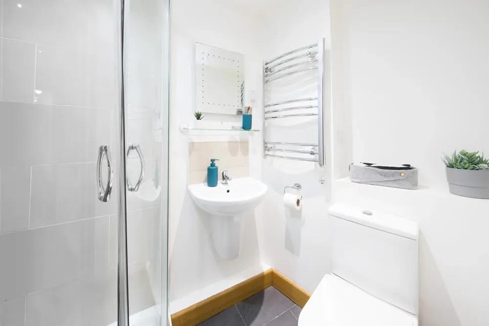 1 bedroom flat share for rent