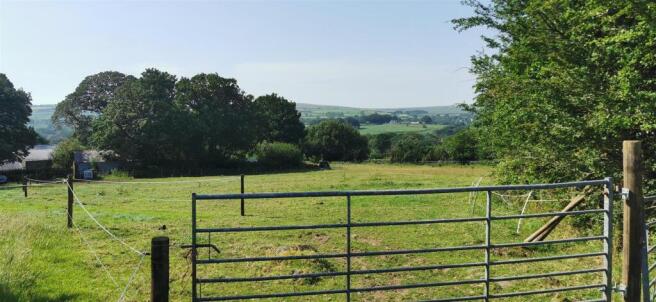 Lower Paddock