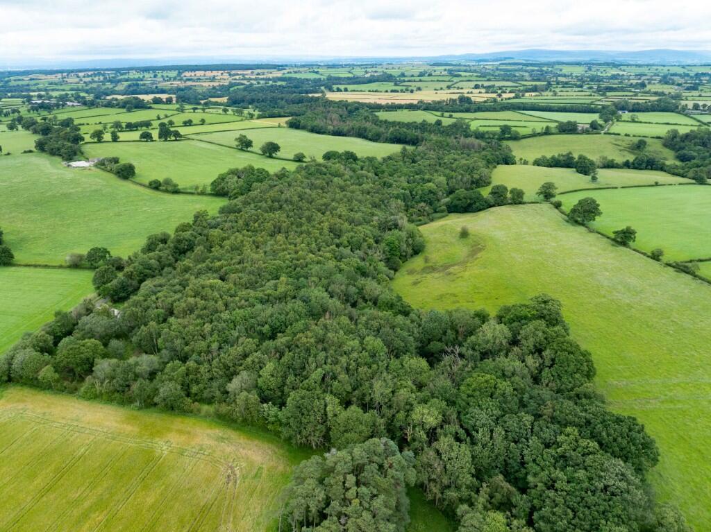 Lot 4 - Taylors Wood, Ivegill, Carlisle, CA4 0QF - View 2