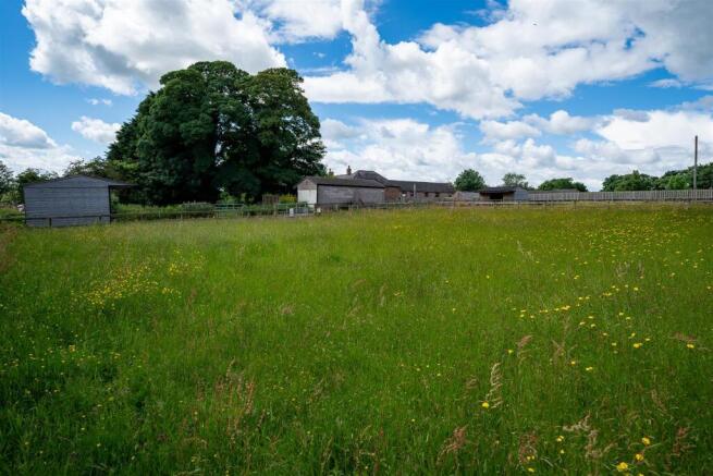 Grazing Paddock