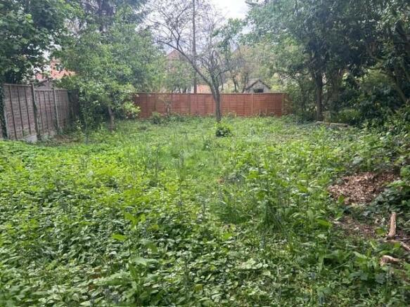 garden.jpg