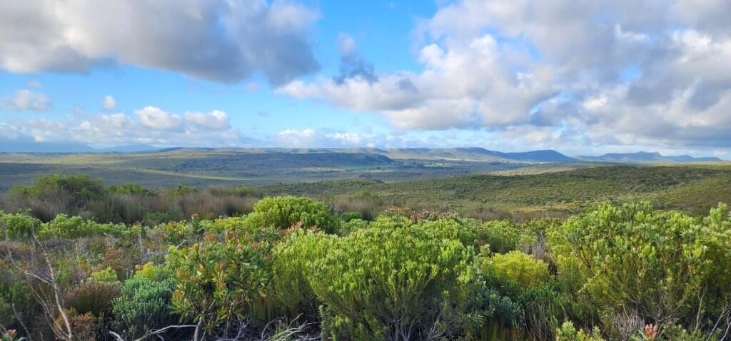 Main image of property: Albertinia, Western Cape