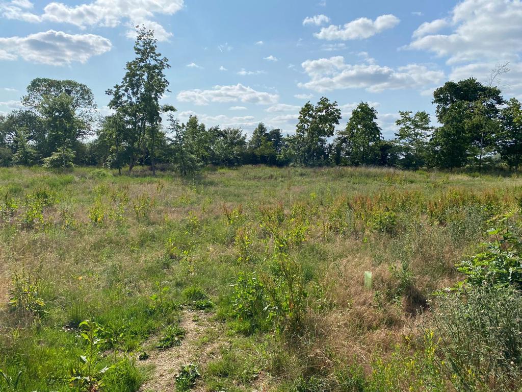 Main image of property: Lot 3- Paddock Land Off Ladburn Lane, Alvescot, Shilton, Burford, Oxfordshire, OX18 4AH