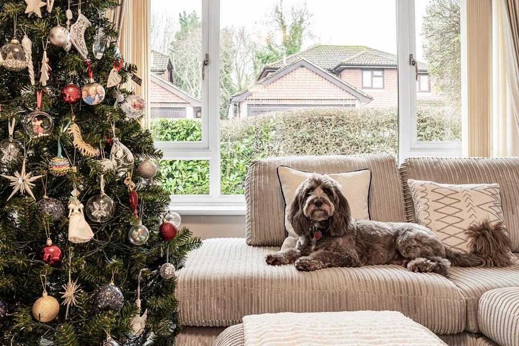 Main image of property: Willowdale Close, Stroud, Hampshire