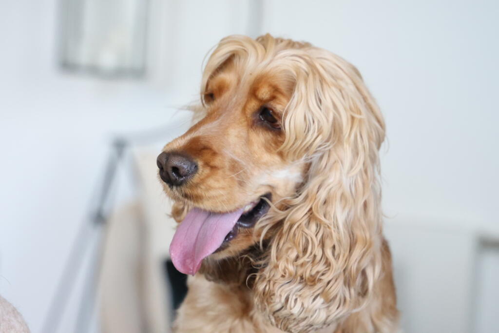 Main image of property: Fizzy Lewisham, River Mill Two, Lewisham SE13 5FQ