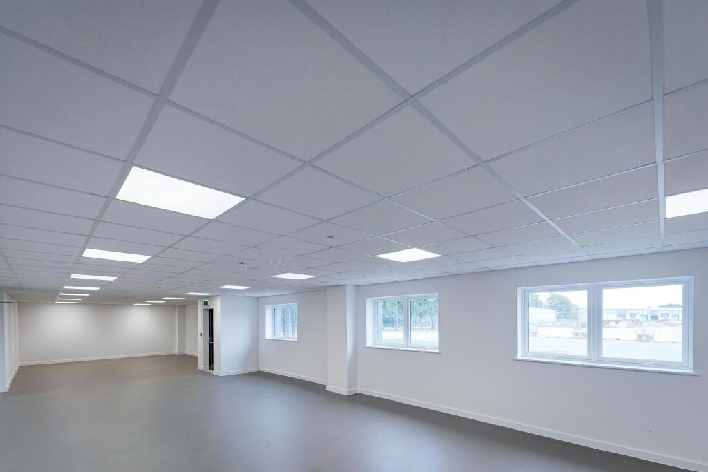 hortons_sinfin_0020_RT.jpg
