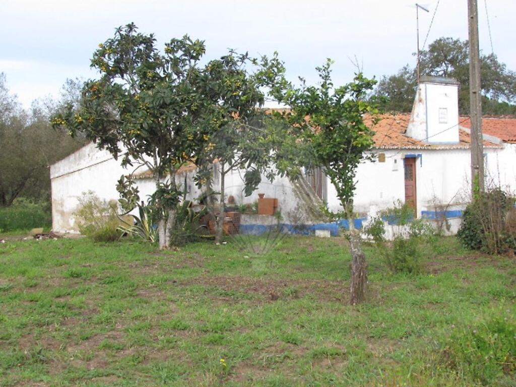 Main image of property: Setúbal, Grândola