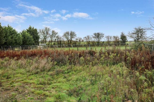 field