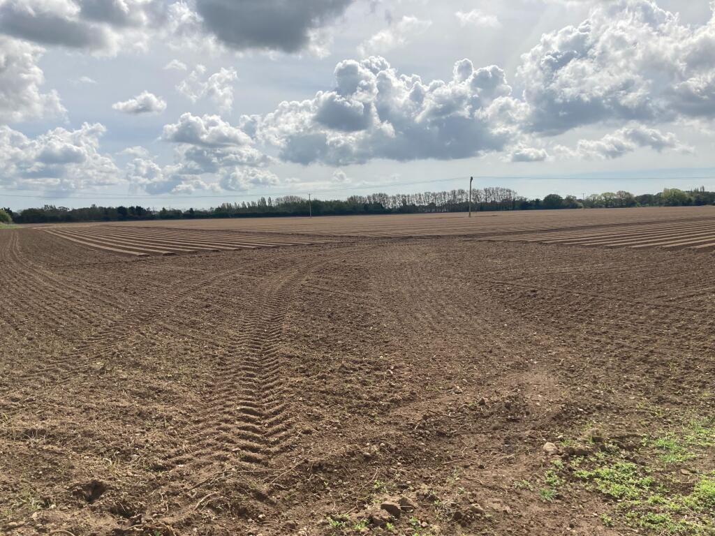 Main image of property: Land at Morrow Lane, Ardleigh