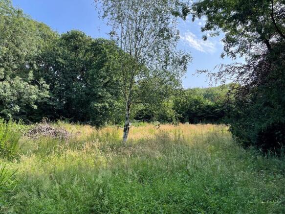 view across plot