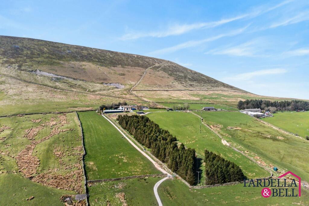 Additional image 4 of Barley