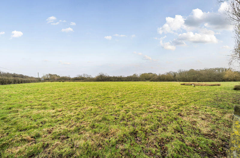 Holmes Hill, Chiddingly photo 2